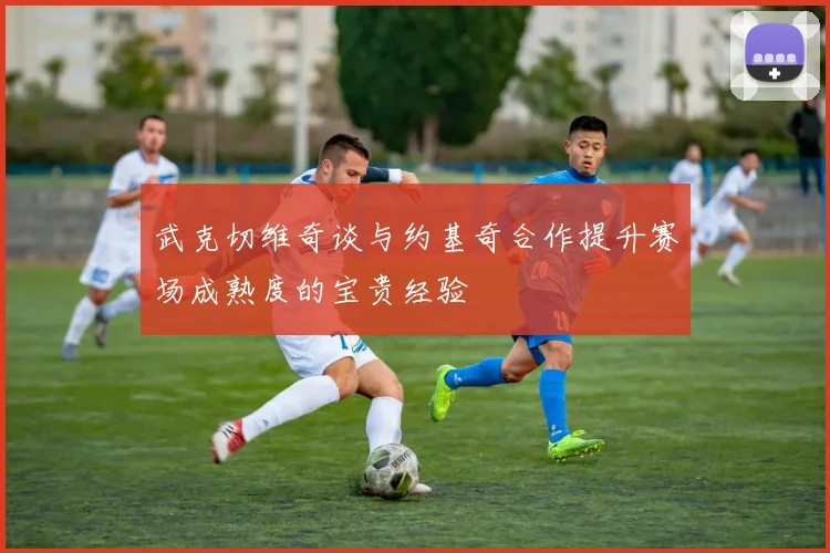 武克切维奇谈与约基奇合作提升赛场成熟度的宝贵经验