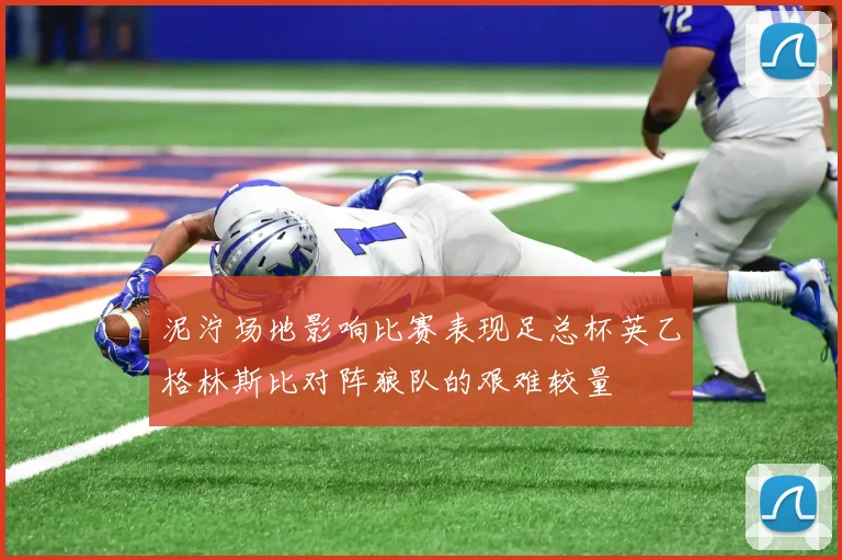 泥泞场地影响比赛表现足总杯英乙格林斯比对阵狼队的艰难较量